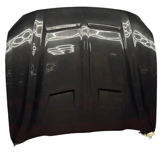 18-23 Ford Mustang Gt  Carbon Fibre Hood