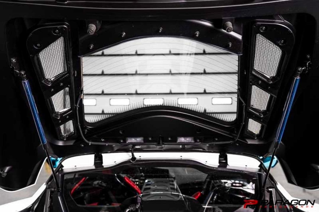 C8 Corvette Carbon Fiber Hood Struts - Blue| Paragon Performance