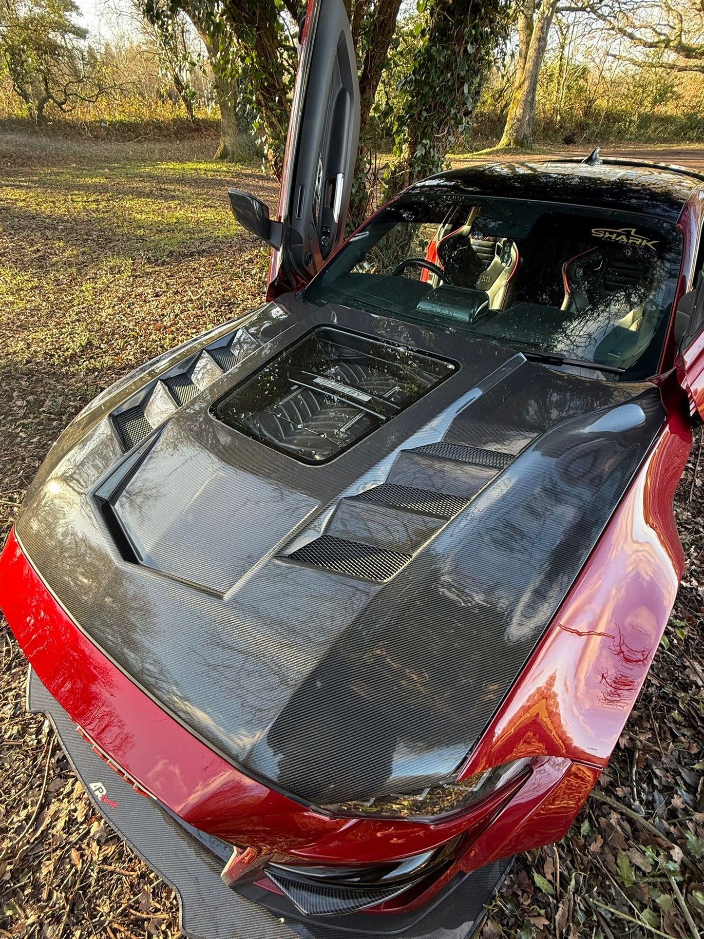 18-23 Ford Mustang Gt Carbon Fibre Hood with Engine Bay Window